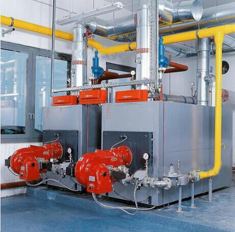 河南鄲城薯業(yè)2臺(tái)6噸低氮燃?xì)忮仩t