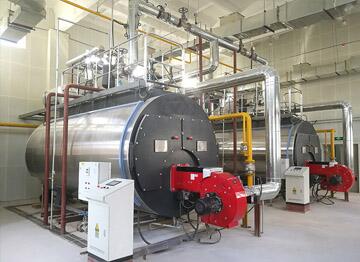 貴州恒大扶貧產(chǎn)業(yè)園2臺(tái)6噸燃?xì)鉄崴仩t